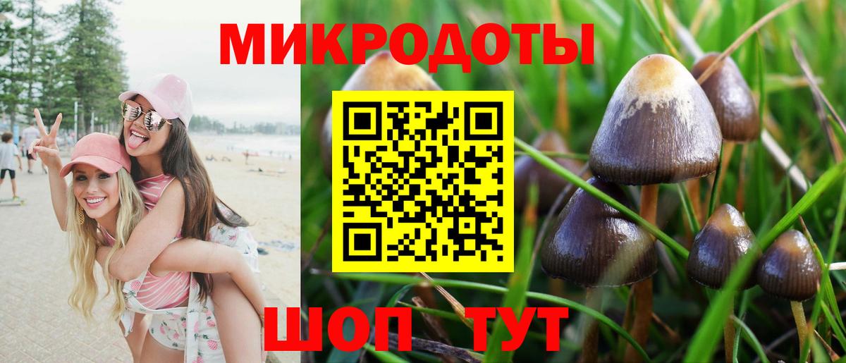 Галлюциногенные грибы MAGIC MUSHROOMS  Галлюциногенные грибы Magic Shrooms  даркнет сайт  Тимашёвск  Вход с VPN 