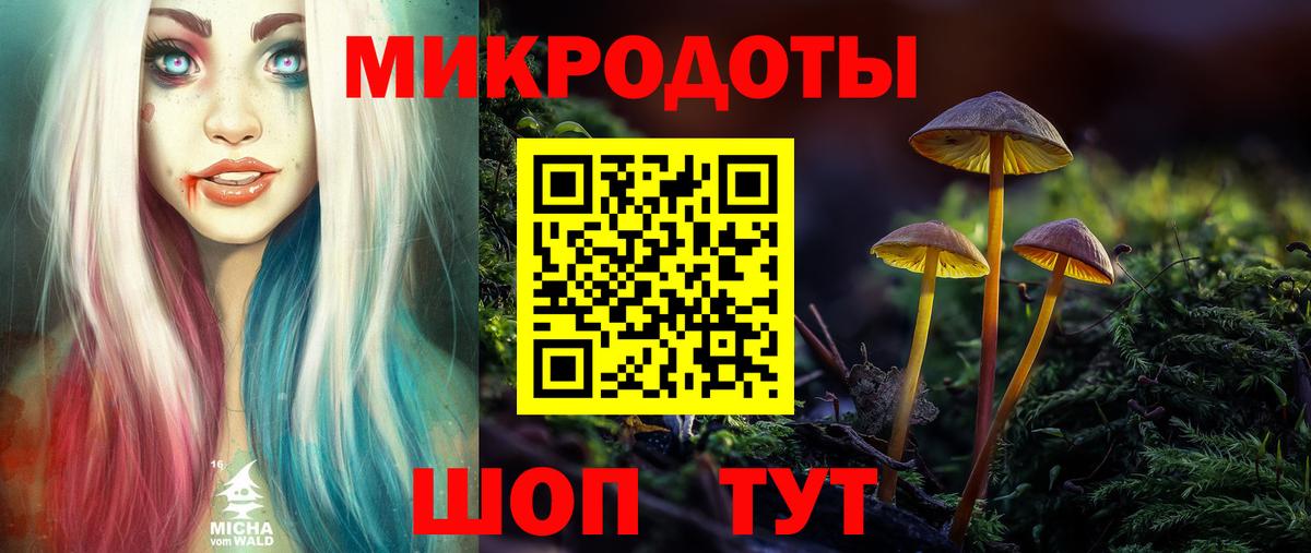 Галлюциногенные грибы мухоморы Тимашёвск